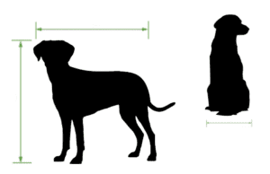 Measuring Pets