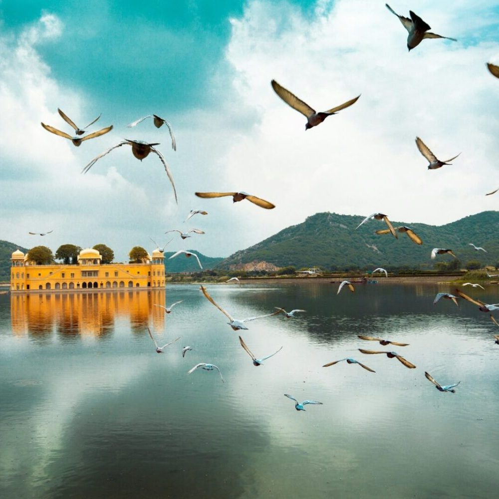 India Jal Mahal in Jaipur Aditya Siva