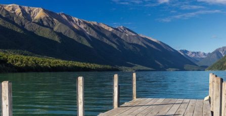 Why Nelson Should be Your Next Home | Crown Relocations NZ Blog